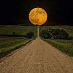 Bill Matson - @billmatson - Instagram
