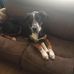 William Matson - Facebook