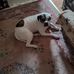 Billy Mauney - Facebook