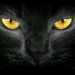 Bill Max - @bill.max.988 - Instagram