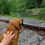 Bill Max - @westvirginiafisher_hunter87 - Instagram