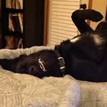 Bill Maxson - @wam75028 - Instagram