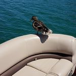 Bill Mayes - @billmayes27 - Instagram