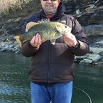 Bill Mayes - Facebook