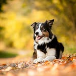 Bill maze - @billmaze2345 - Instagram