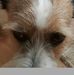 William Mcadam - Facebook