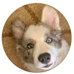 Bill McBee - @vacation_with_bill_ - Instagram