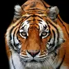Bill McBreen - @30219458273 - TikTok