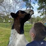 Billy McCafferty - @billymccafferty.08 - Instagram