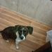 Bill McCarter - Facebook