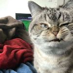 Bill McCarver - @bill.mccarver - Instagram