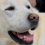 Bill McClendon - @hooterf15 - Instagram
