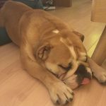 Bill McCormack - @bill_mc_cormack - Instagram