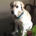 William McDougall III - Facebook