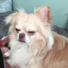 billymcglashan1 - @billymcglashan1 - TikTok