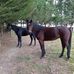 Bill McHugh - Facebook