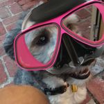 Will Mckernan - @mckernan4life - Instagram