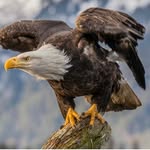 Bill Mead - @bill.mead.503 - Instagram