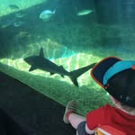 Bill Meade - @billmead79 - Instagram