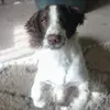 Bill G Meadows - @bill.g.meadows - TikTok