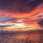 Bill Meadows - @wmeadows66 - Instagram
