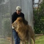 Bill Meadows - @billmeadowstiger - Instagram