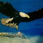 Bill Meadows - @meadows9551 - Instagram