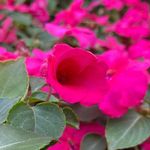 Bill Meier - @billmeier6 - Instagram