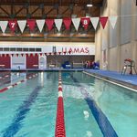 Bill Meier - @swimcoachbill - Instagram