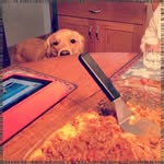 Bill Michaud - @cristobalgrumblesgxq - Instagram