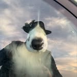 Bill Milliken - @bill.milliken - Instagram