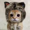 billmohr245 - @billmohr245 - TikTok