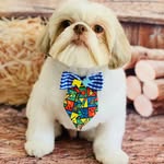 Bill Moraes - @bill.moraesshihtzu - Instagram