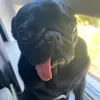 Billy moreland - @billymoreland5 - TikTok