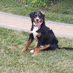 Bill Morrow - @wilmorrow - Instagram