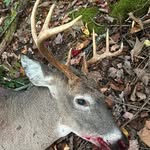 Bill Morse - @bill.morse.733 - Instagram