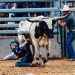 Bill Moser - @billmoser5 - Instagram