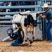 Bill Moser - Facebook