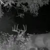 Moultrie videos - @billboysha - TikTok