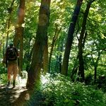 Mountain Bill - @mountain_bill - Instagram
