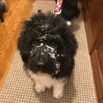 Bill Mullen - @billmullen62 - Instagram