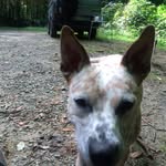 Bill Mulvey - @2hrsinland - Instagram