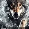 Bill Murphy - @bill.murphy43 - TikTok
