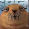 Bill Murphy - @bill.murphy - TikTok