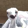 Billy bob - @aidenmutschler - TikTok