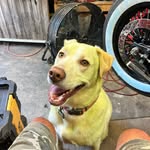Bill Nagy - @bill84113 - Instagram
