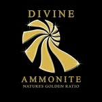 Bill Nagy - @divineammonite - Instagram