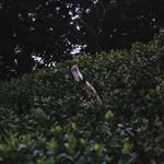 Andre bilder av André Hustoft Nesheim - @andre.bilder - Instagram