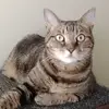 Bill Newby - @bill.newby - TikTok