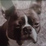 Bill Newkirk - @bill_newkirk77 - Instagram